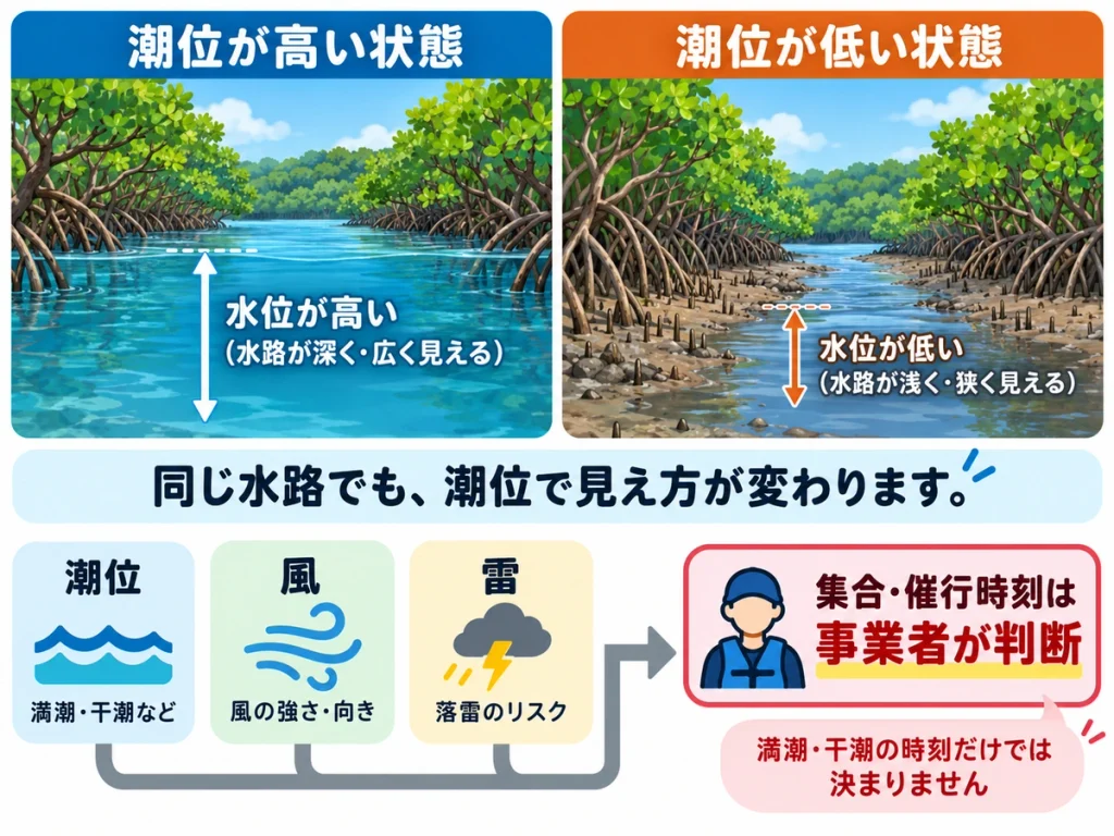 マングローブ水路の潮位が高い状態と低い状態を比較し、潮位・風・雷を踏まえて事業者が集合・催行時刻を判断することを示した図解
