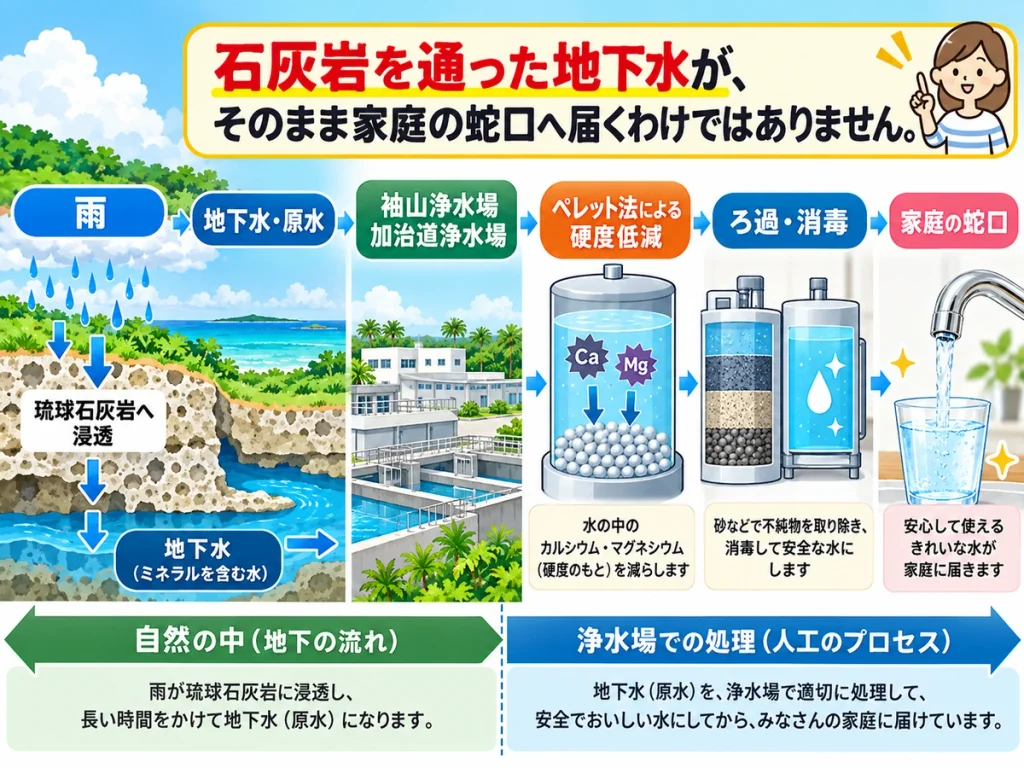 雨が琉球石灰岩へ浸透して地下水となり、浄水場で硬度低減・ろ過・消毒を経て家庭の蛇口へ届く流れの図解