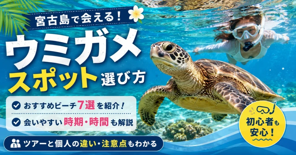 宮古島のウミガメスポット完全ガイド｜時期・シュノーケリング・ツアー